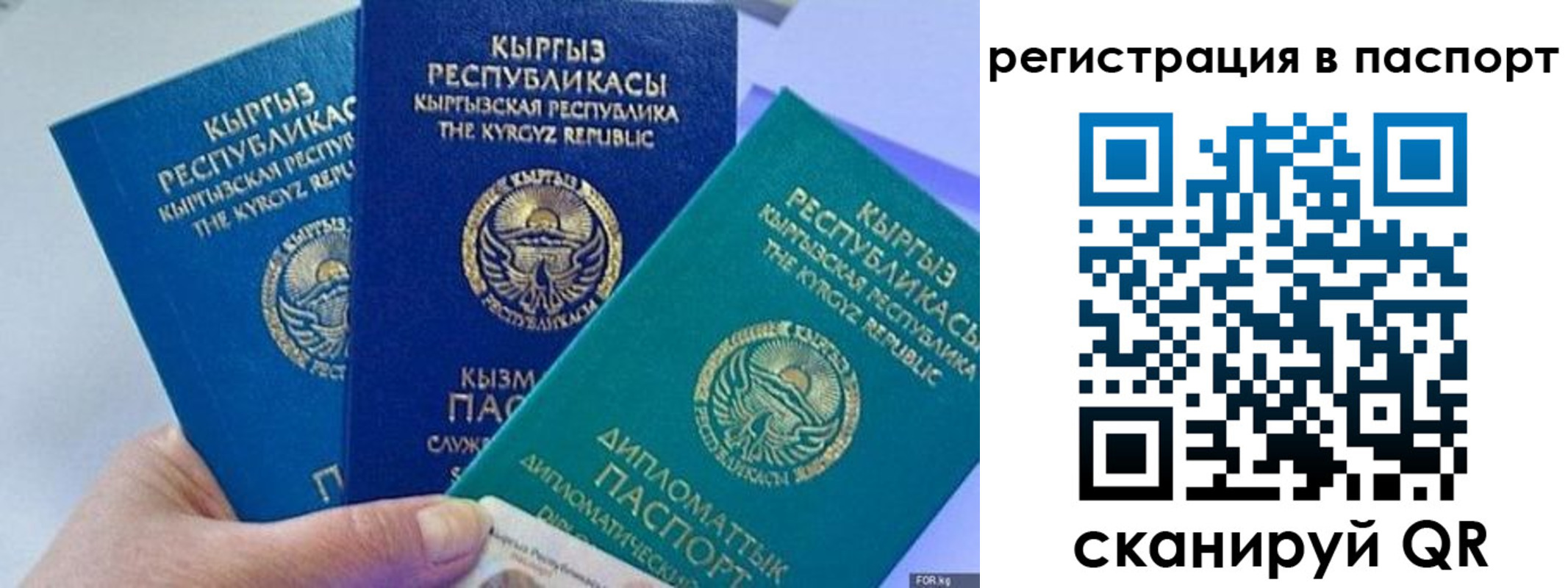 прописка 2025 в Апшеронске
